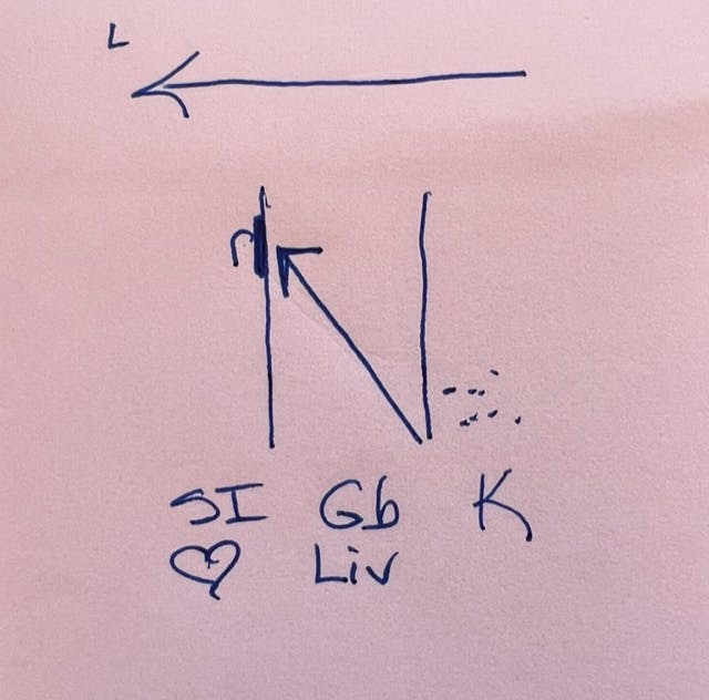 Scattered Kidney Qi