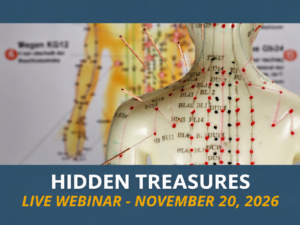 Hidden Treasures | Live Webinar | November 20, 2026