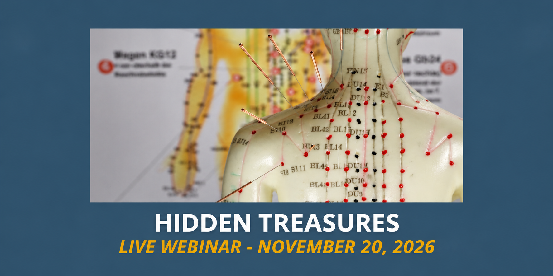Hidden Treasures live webinar with Dr. Martha Lucas on November 20, 2026, illustrated with an acupuncture point model.