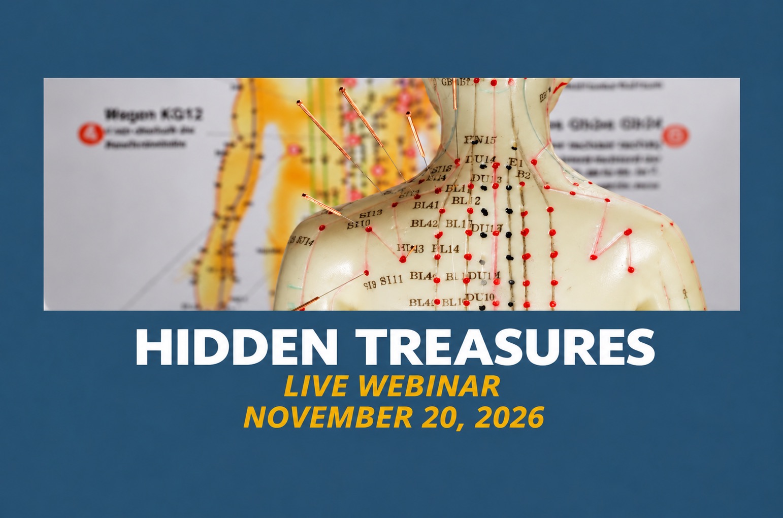 Acupuncture point model on the Hidden Treasures live webinar cover for November 20, 2026, with Dr. Martha Lucas.